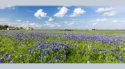 Chaparral Professional Land Surveying